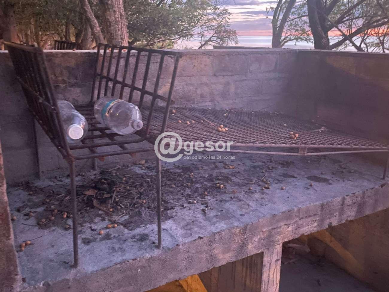 Image4